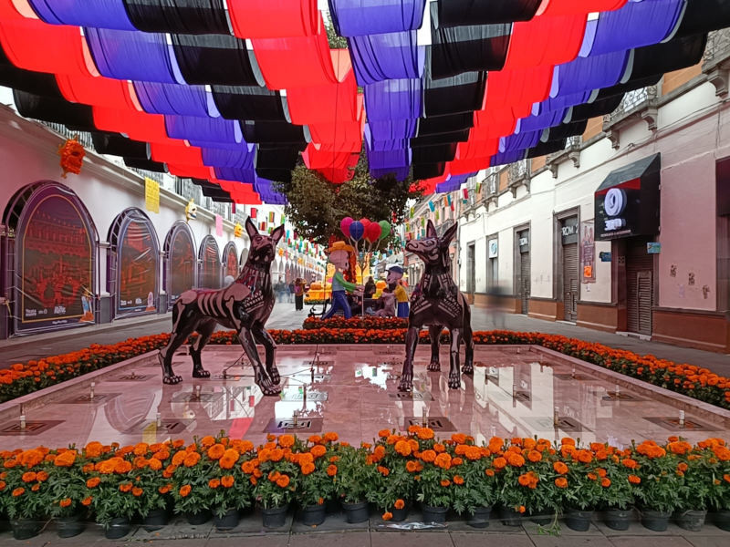 Alfeñique centro Toluca 1