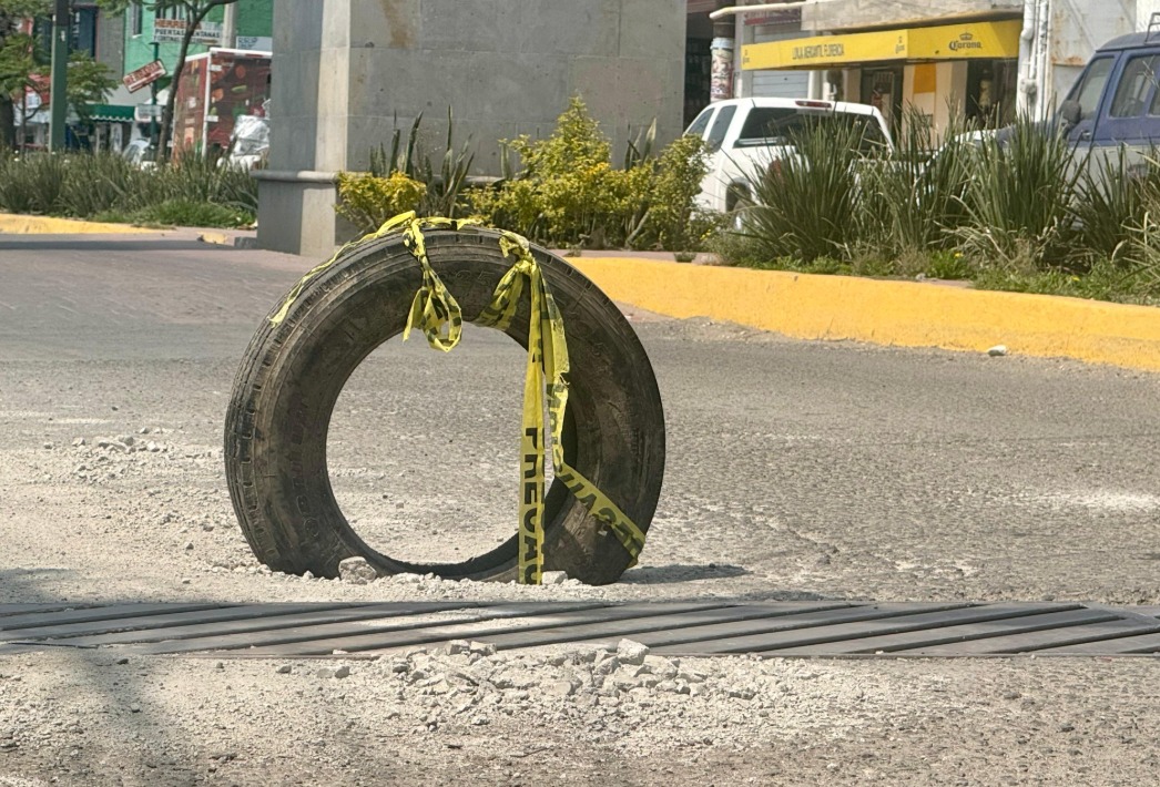 Bache.jpeg