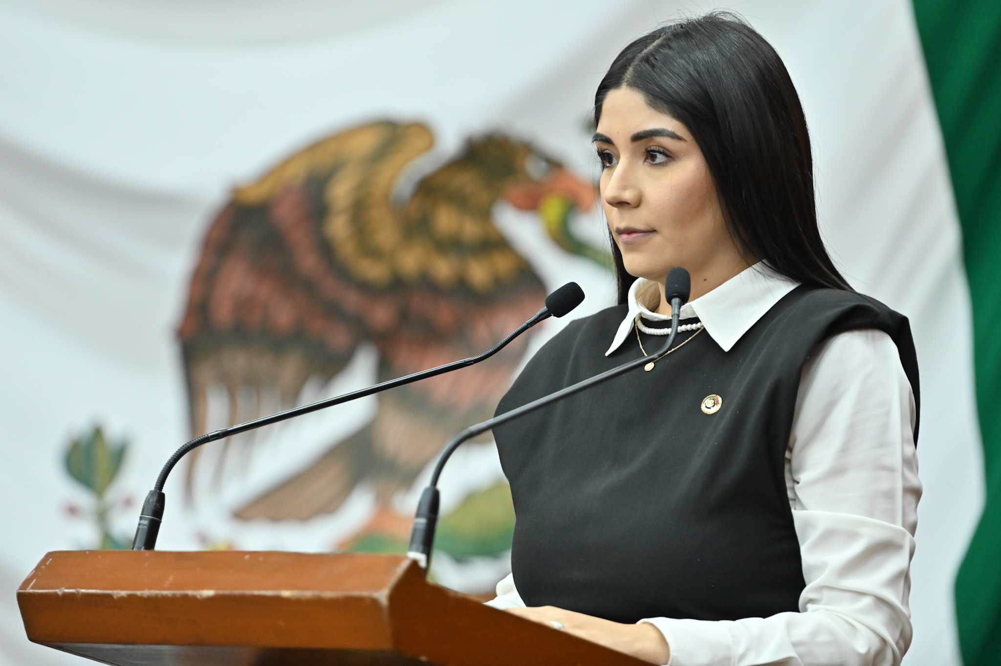 Dip._Emma_Laura_Álvarez_Villavicencio_PAN.jpg