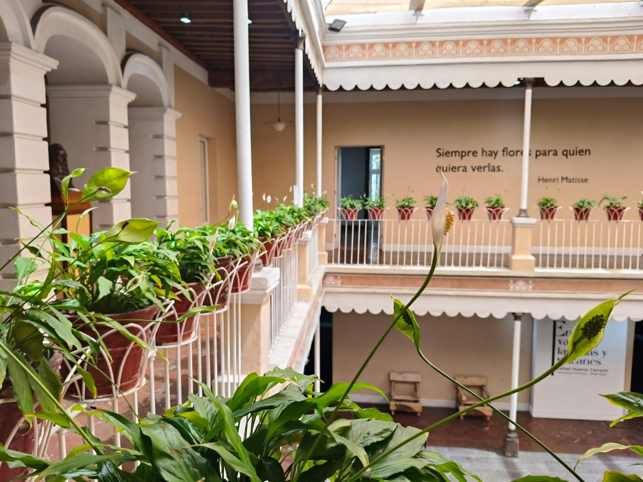 Museo José María Velasco 3