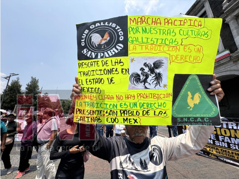 PELEA GALLOS 2
