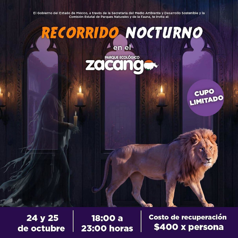 Programa Zacango Halloween