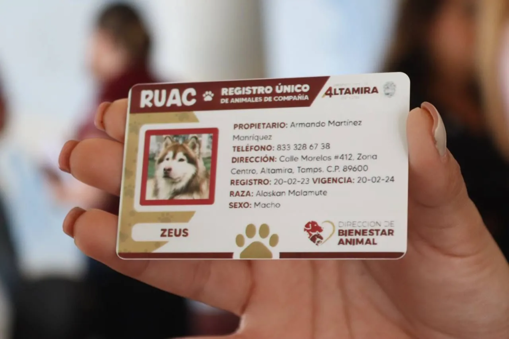 RUAC-mascotas-mexico.webp