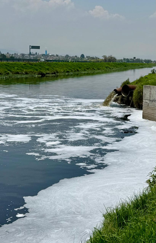 Ribera_del_río_lerma_vertical.jpeg