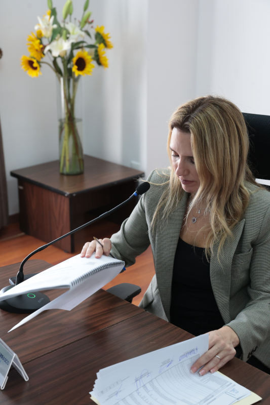 Romina Contreras en cabildo