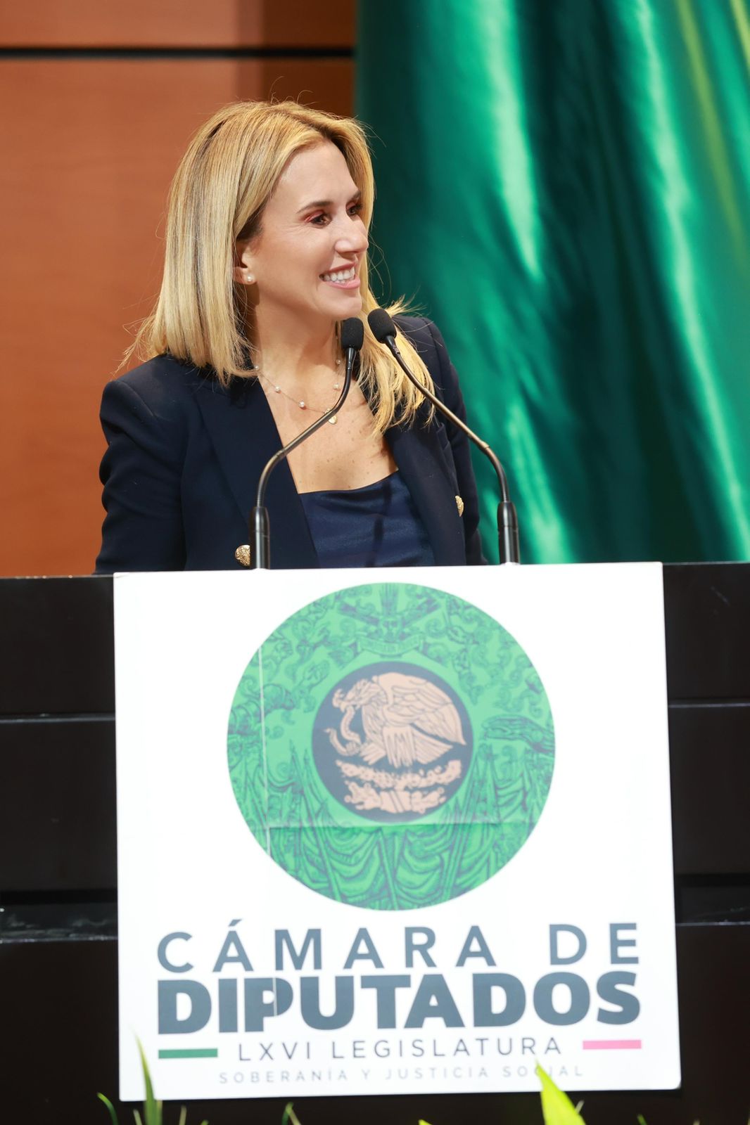 Romina_en_la_Cámara_de_Diputados.jpeg