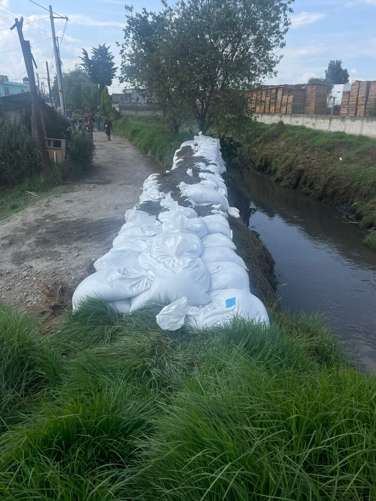 Río_Verdiguel_cauce_-_vertical.jpeg
