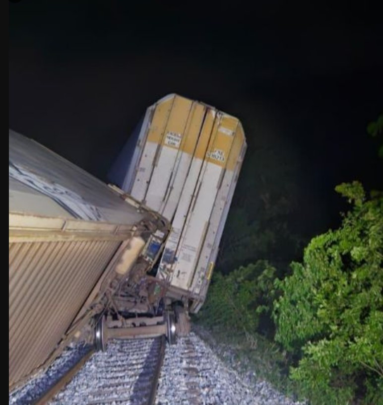 Tren oaxaca descarrilado