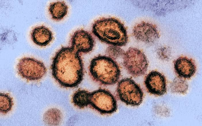 Virus.jpg