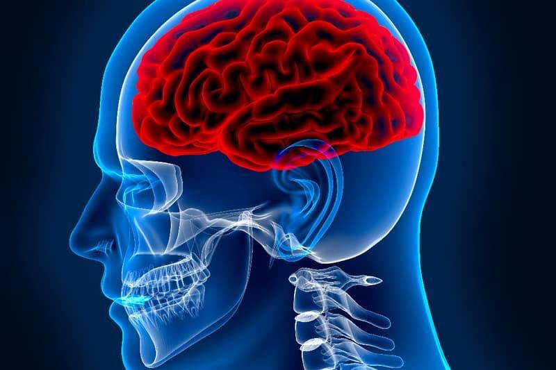 WhatsApp Image 2025 10 31 at 8.39.35 AM