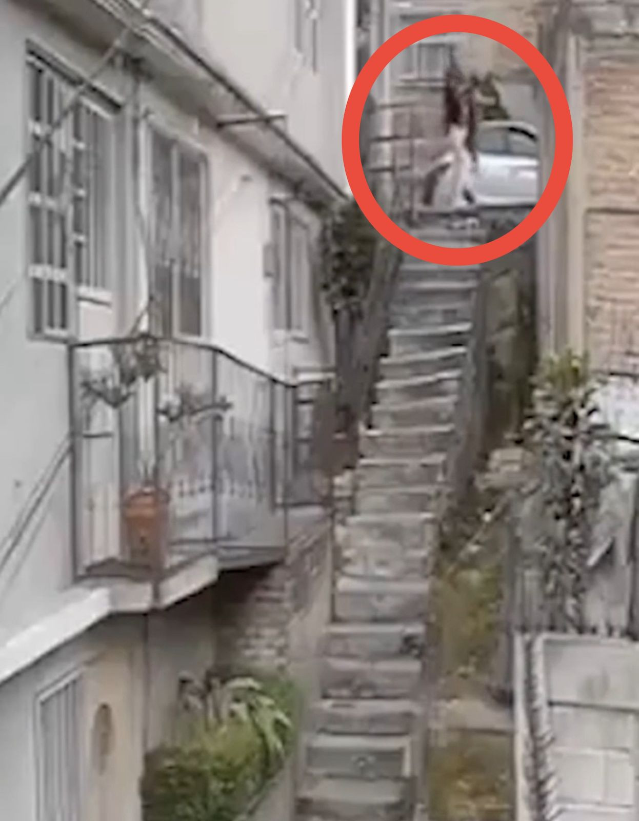 WhatsApp Image 2026 02 12 at 10.45.26 AM