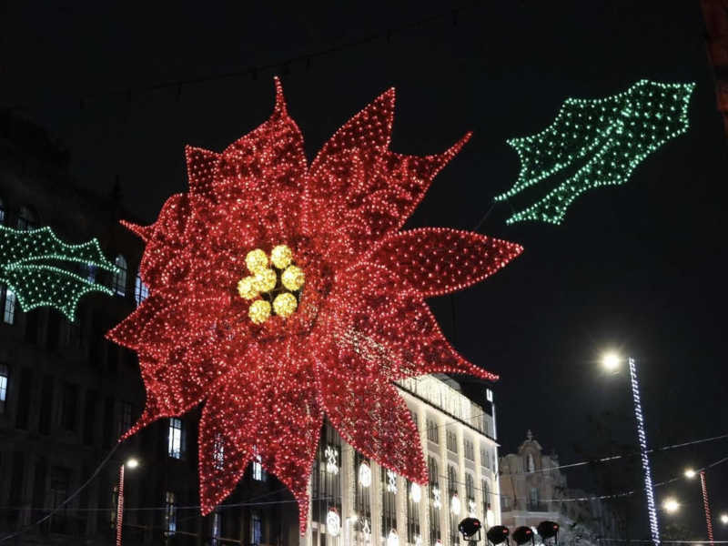alumbrado navideño 2