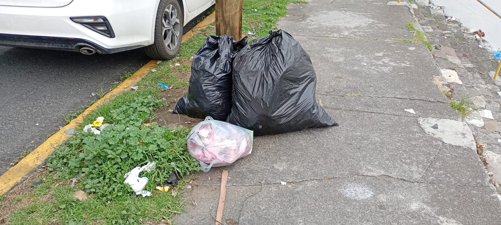 bosas_de_basura_calle.jpeg