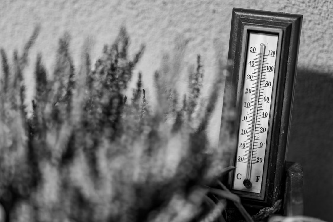 calor_termómetro.jpeg
