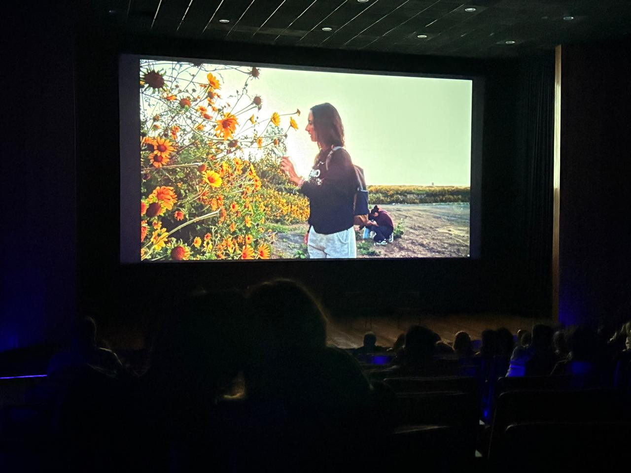cineteca_edomex.jpeg