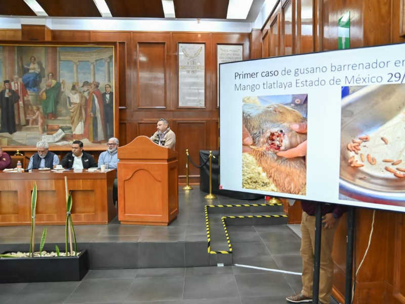 congreso gusano 2