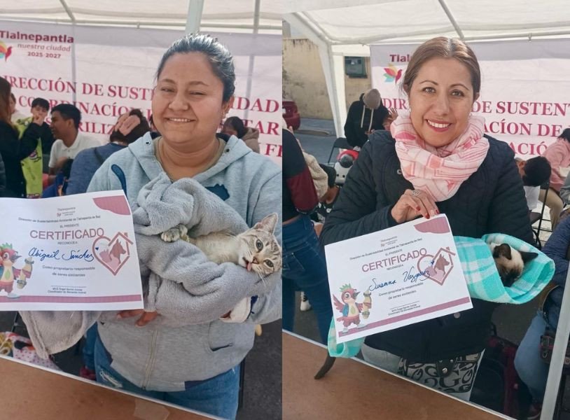 cuida a tu mascota tlalne 2