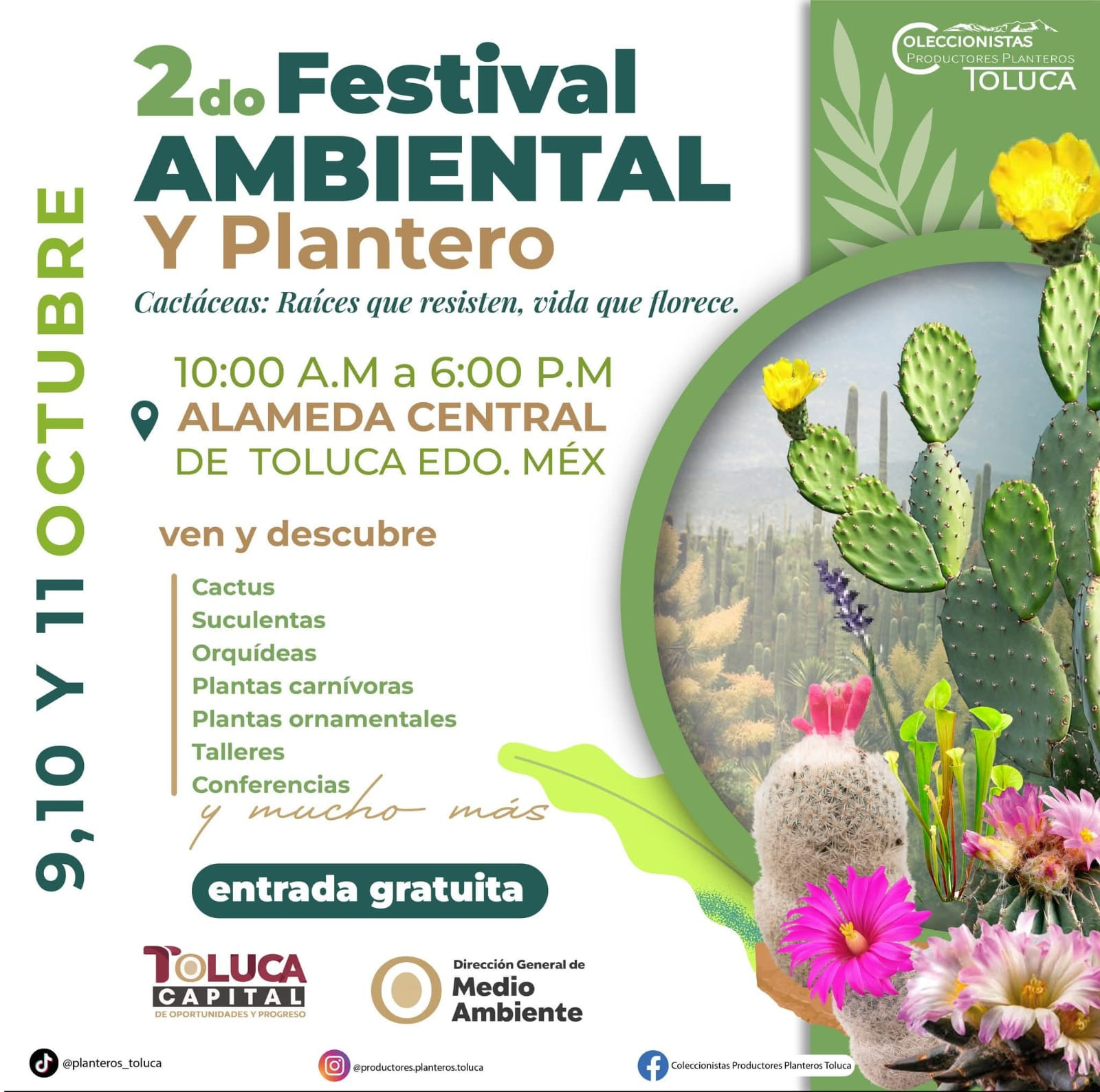 festival_flores.jpeg