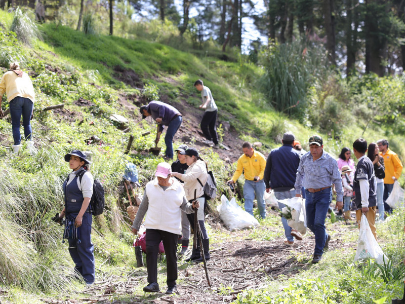 huixquilucan arboles 2