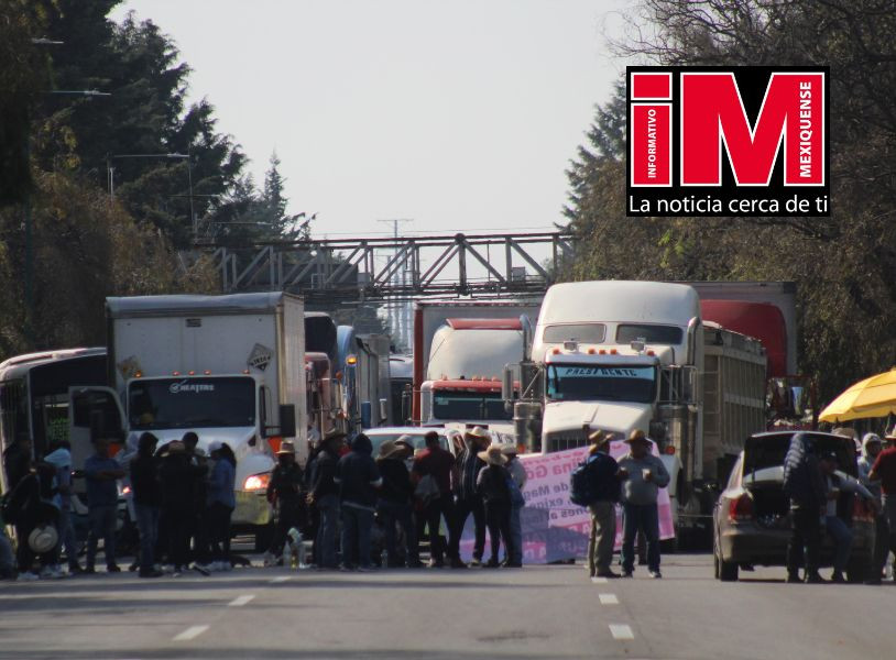 manifestacion mexico toluca 1