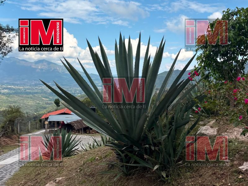 mexcal edomex 2