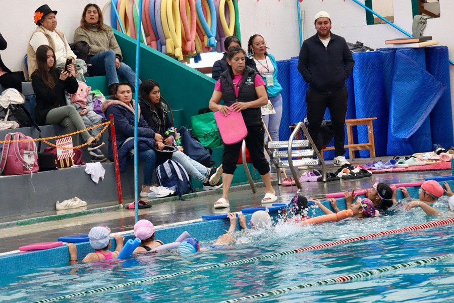 natación curso de verano