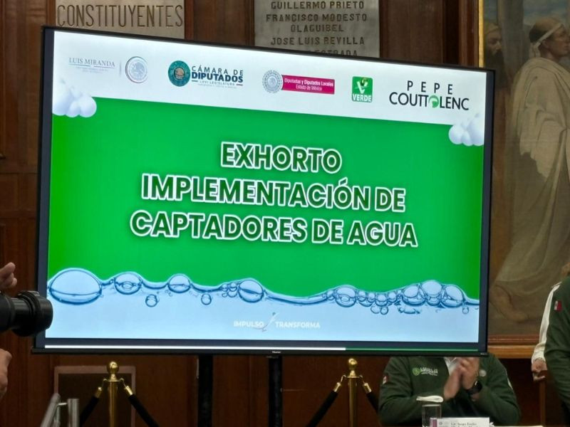 partido verde 2