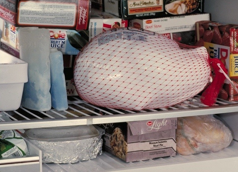 pavo refrigerador