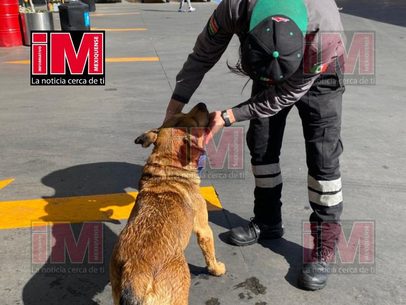 perrito gasolinera 2