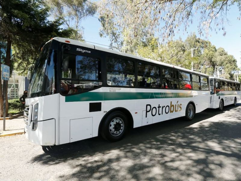 potrobus 1