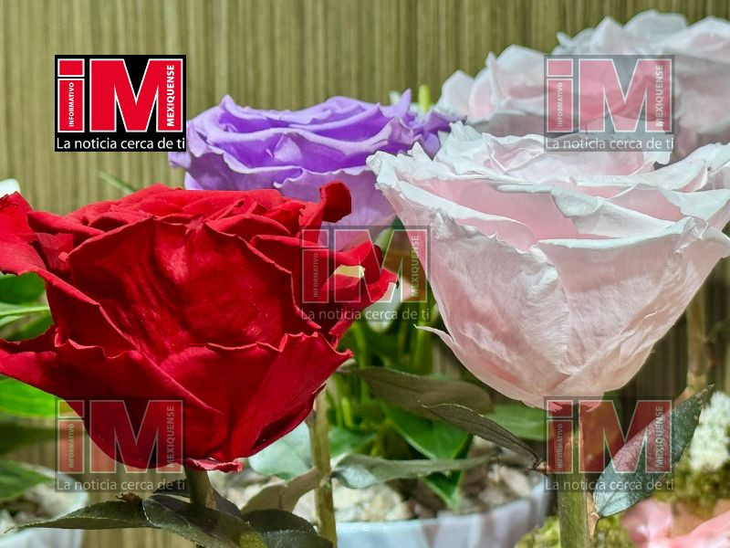 ramos florerias 1