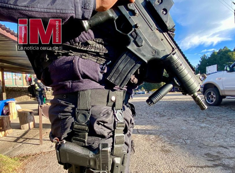 seguridad edomex 1